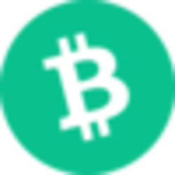 Binance-Peg Bitcoin CashLOGO
