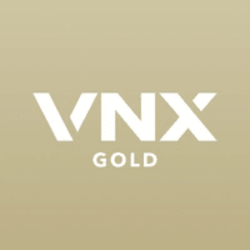 VNX GoldLOGO图片